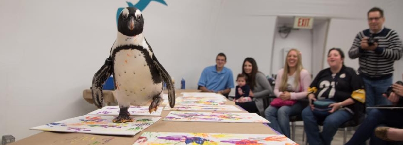 National Aviary Coolest Birthday Party Places in PA