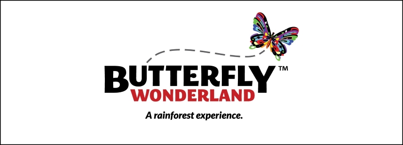 Butterfly Wonderland Unique Party Places Arizona