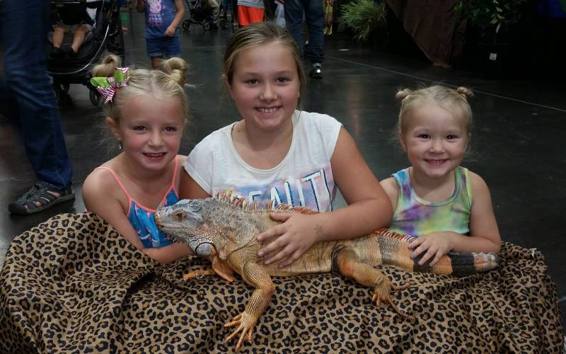 Amazing Animal World Animal Themed Parties in California