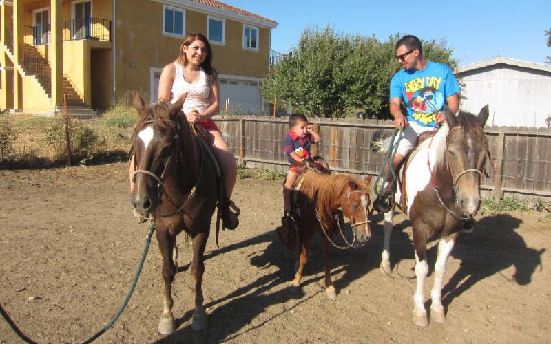Armando's Pony Pals Children's Pony Parties in Sacramento County California