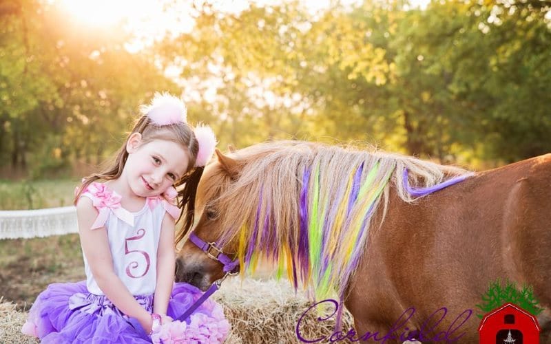 Beyond The Barn Pony Parties Services in Fulton County Georgia