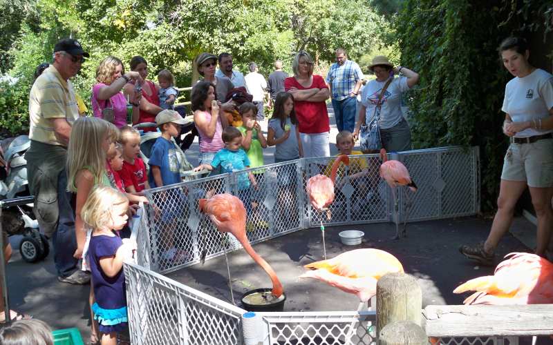 brevard zoo toddler place in melbourne florida