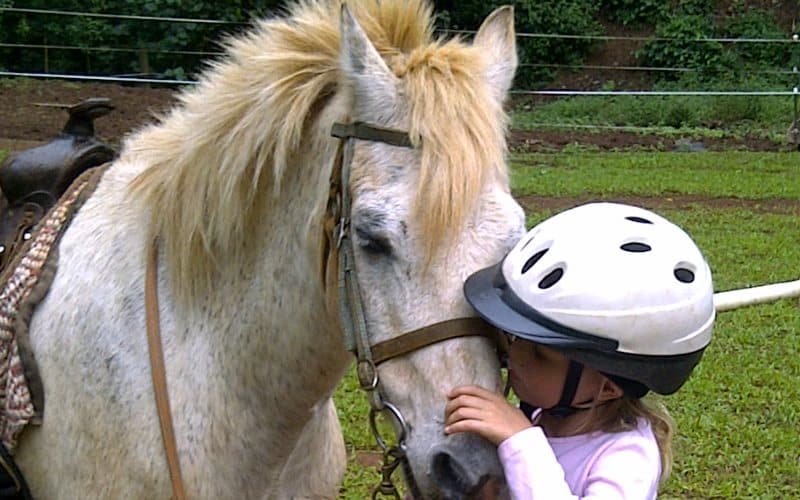 Briarcliff Stables pony parties in Fulton County Georgia