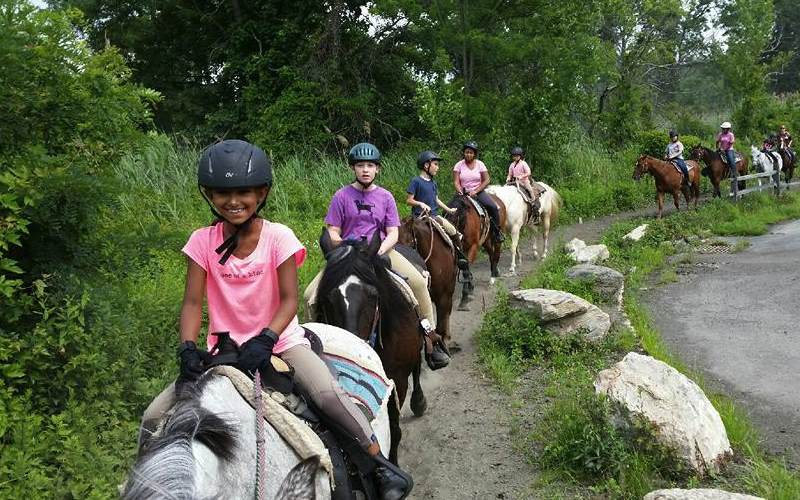Bronx Equestrian Center Birthday Parties in Bronx New York