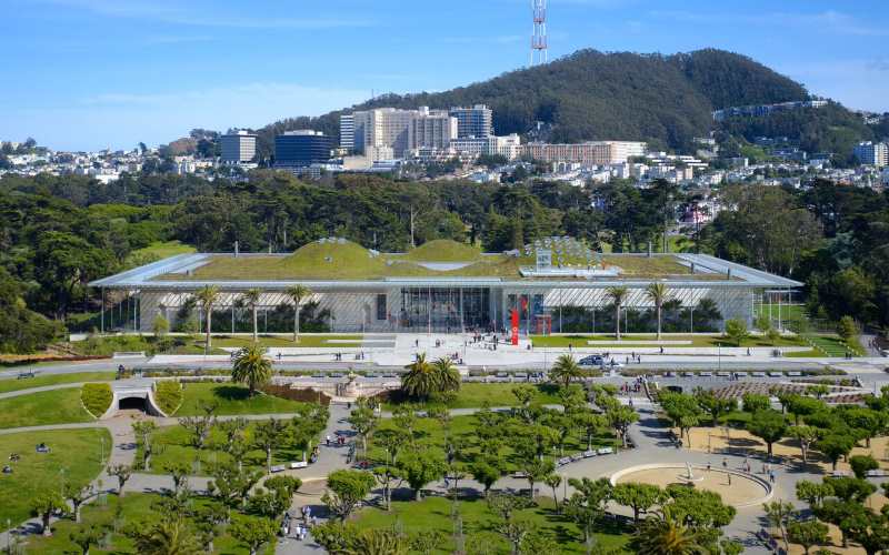 California Academy of Sciences Boy themed parties in CA