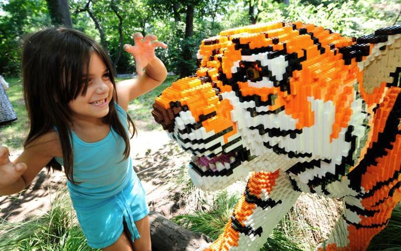 Bronx Zoo Educational Children's Birthday Parties in Bronx NY