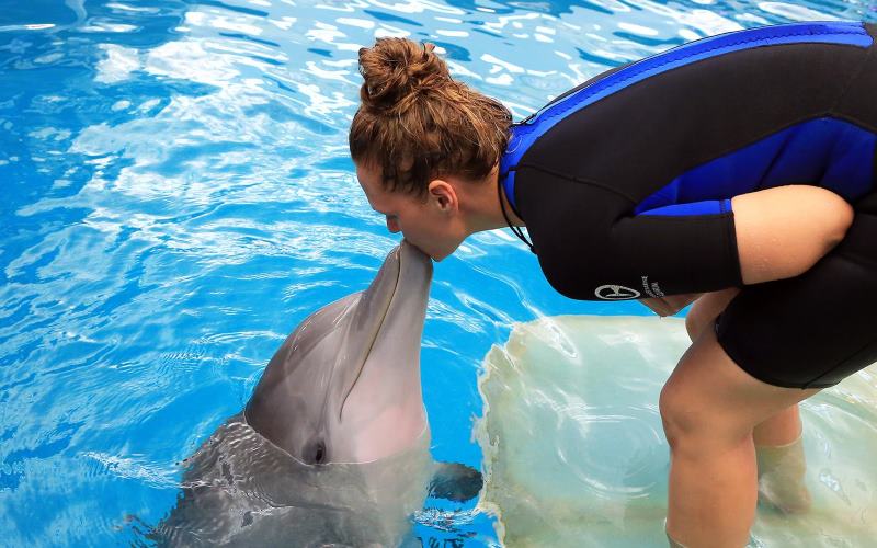 clearwater marine aquarium in clearwater florida parties