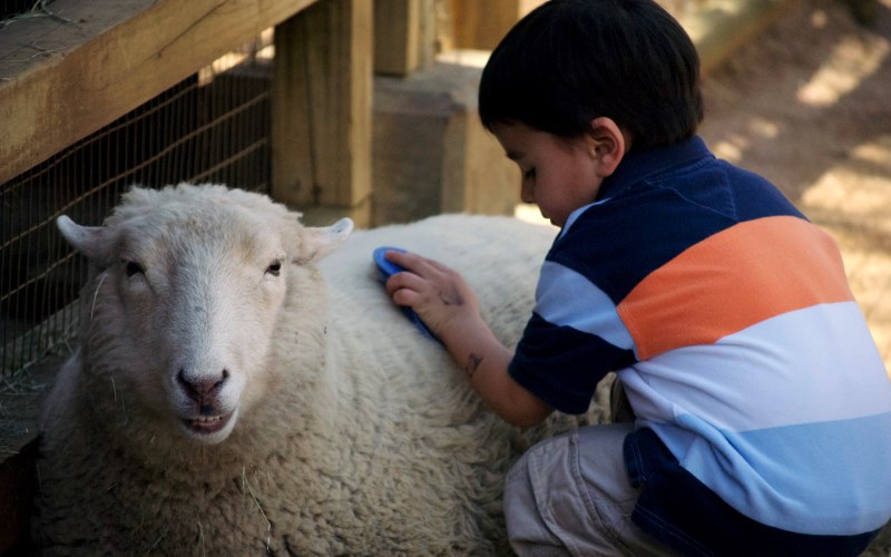 cloverland entertainment petting zoo party services in frenchtown hunterdon county nj