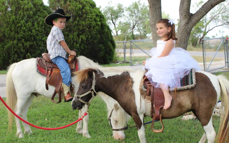 Cuddles and Critter Pony Party Rentals in Nueces County Texas