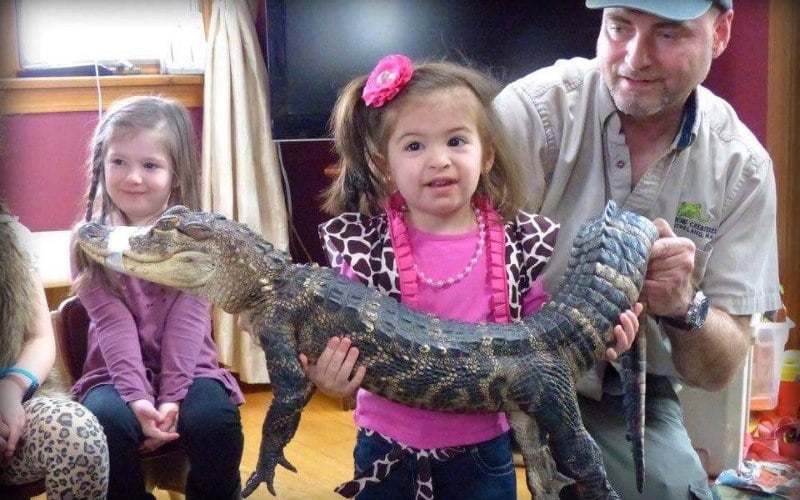 Curious Creatures Kids Reptile Parties In Massachusetts