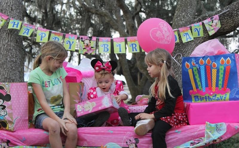 Kids Party Farm Experience in Myakka City 