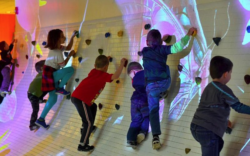 World of Wings Educational Birthday Parties in Teaneck NJ