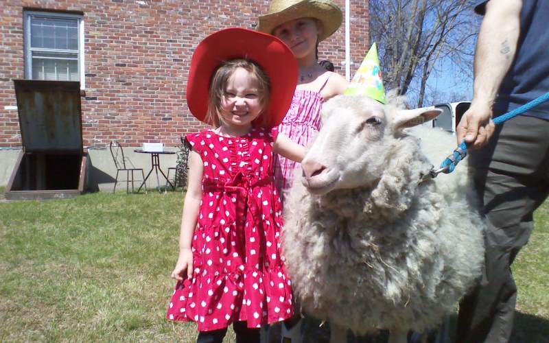 Enchanted Animal Parties traveling party petting zoos in Connecticut