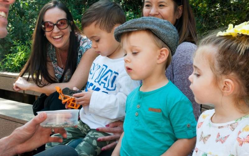 Environmental Natural Center Birthday Party Places in Orange County California