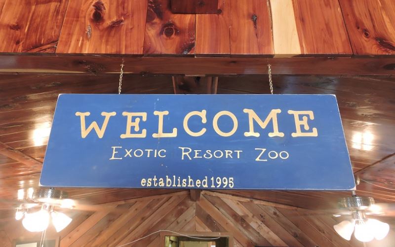Exotic Resort Zoo Animal Themed Parties In Texas