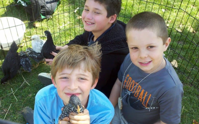 Fernbrook Farms Environmental Education Center Animal Parties For Kids In Southern NJ