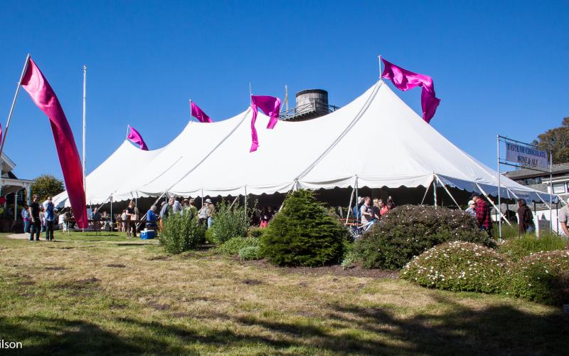 Festival Tent Rentals and Canopies in California