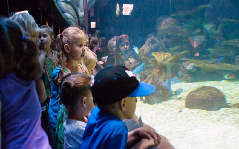 Toddler Parties at the Georgia Aquarium in Atlanta