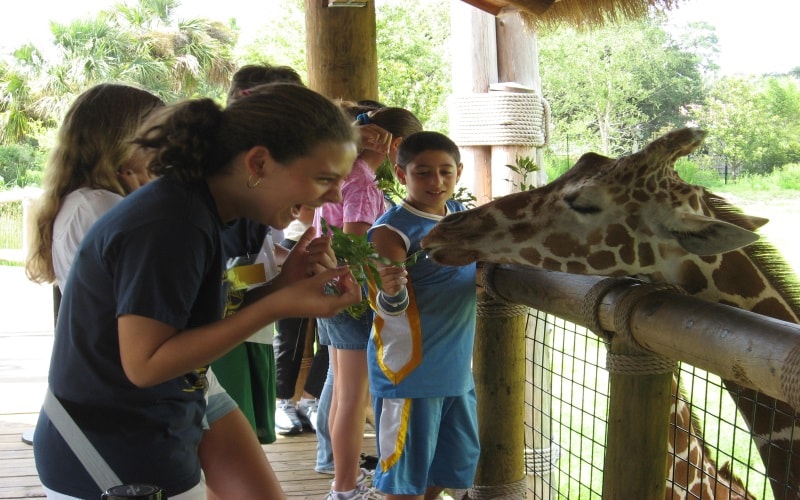 Jacksonville Zoo and Gardens Animal Themed Party