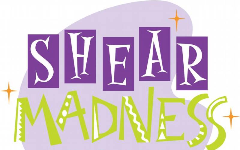 Shear Madness Kids Birthday Party Places in Orange County CA