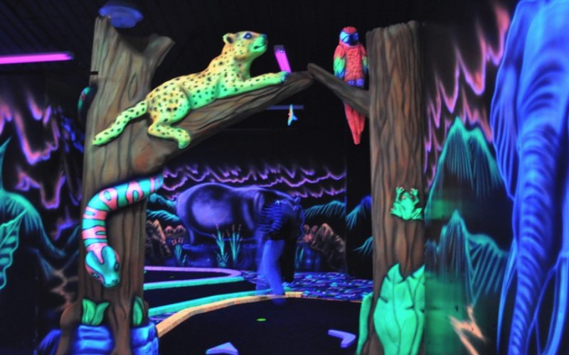 Jungle Wonder Laser Tag Parties in Limerick PA