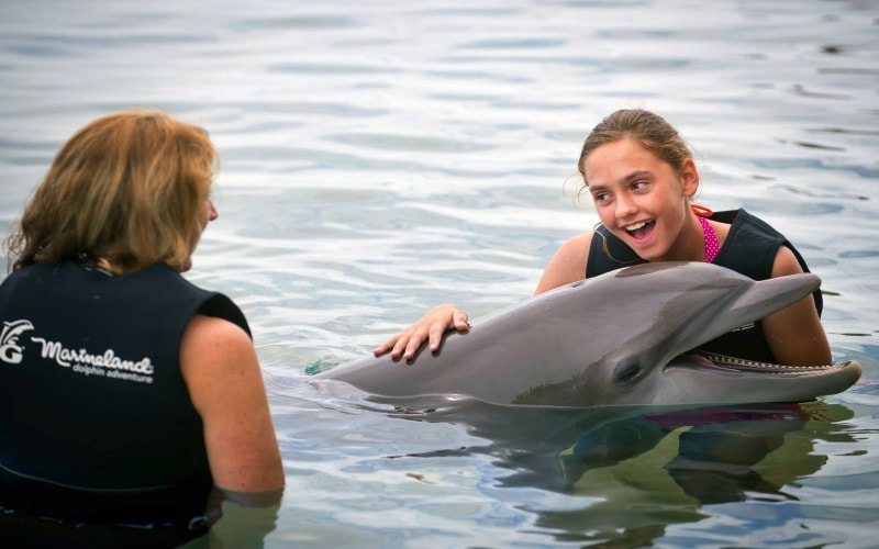 Marineland Dolphin Adventure Parties in Florida