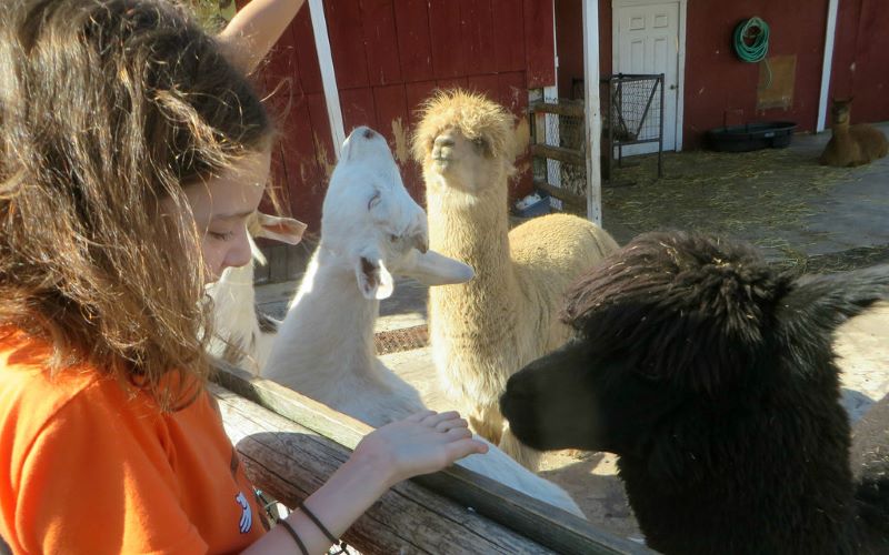 marys go round petting zoo party services in waldorf charles county md