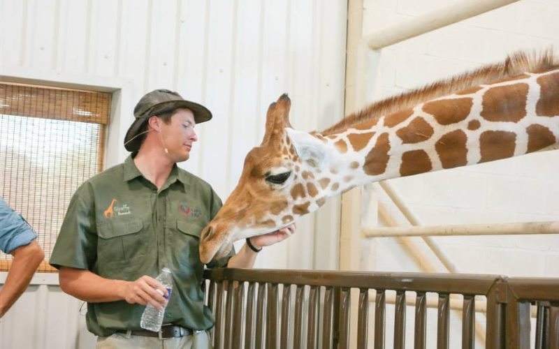 Natural Bridge Wildlife Ranch unique party places in Texas