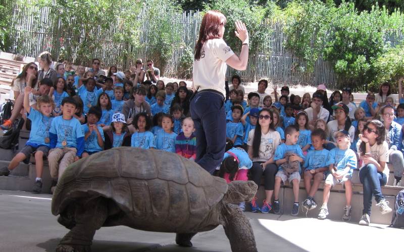 Oakland Zoo animal themed birthday parties in California