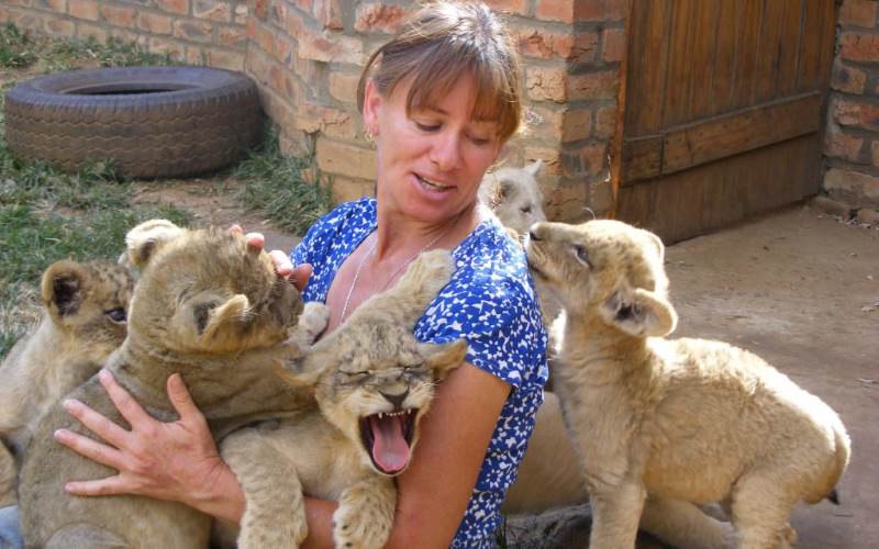 Oakland Zoo In Your Home Parties California