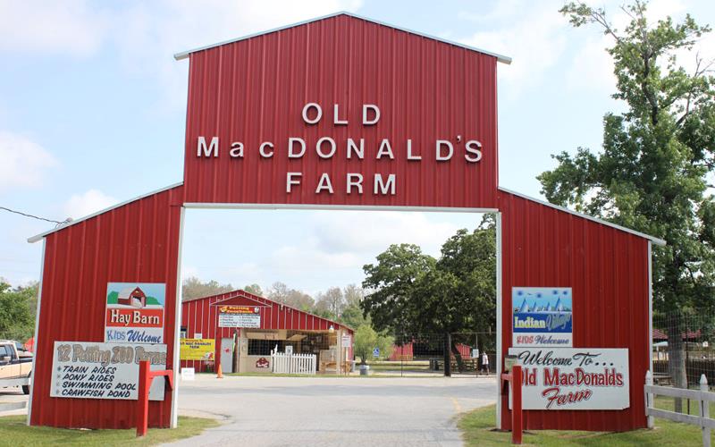 Old Macdonald's Farm Pony Parties in Harris County Texas