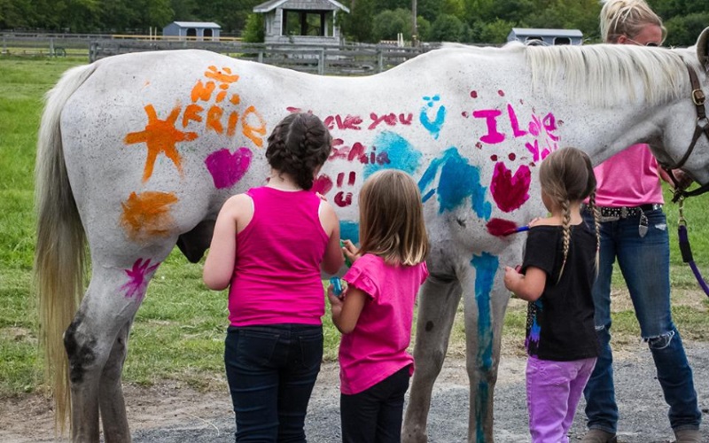 Painted Pony Riding Academy Ponies for Hire in Central NJ