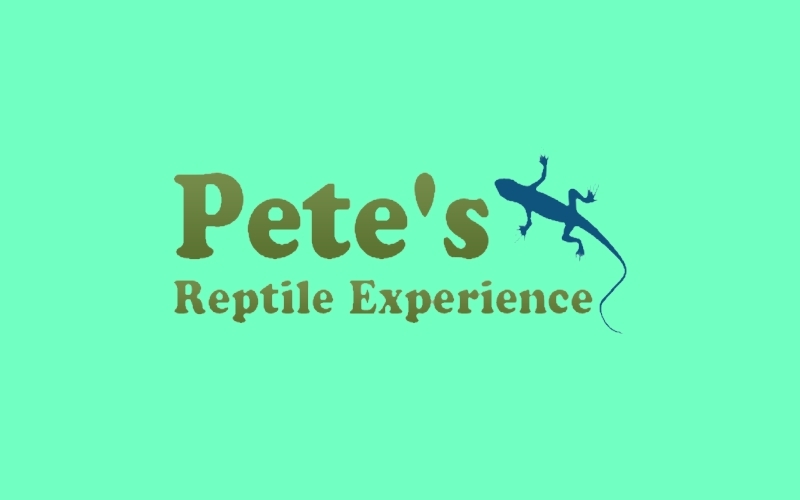 Petes Reptile Experience Kids Reptile Parties In Middlesex County MA