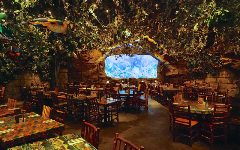 Rainforest Cafe Kids Restaurant in Florida 
