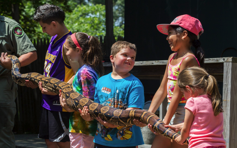 Rainforest Reptile Educational Entertainer in MA