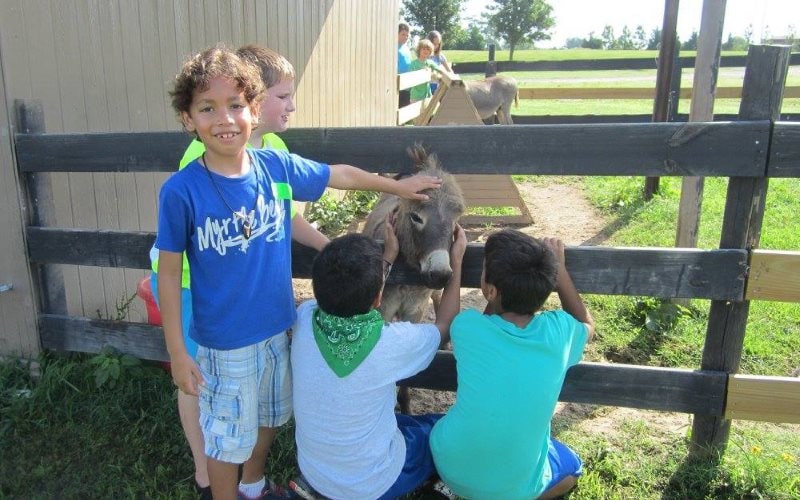Rancho Alegre Farm Animal Theme Parties In Dacula, GA