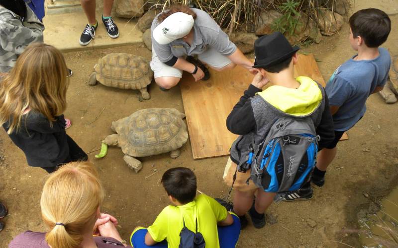 Sacramento Zoo Themed parties for kids California