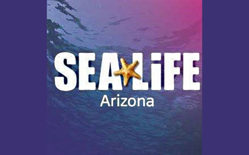 Sea Life Aquarium's Educational Play Parties for Kids in Tempe, AZ