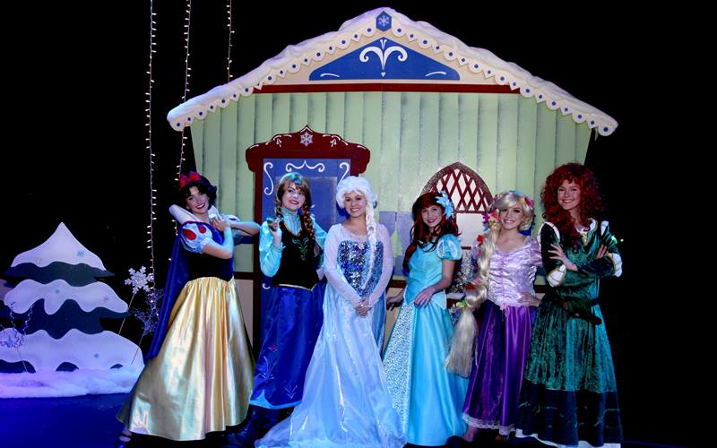 Something Enchanted Princess Party Entertainment Services in Fresno County California
