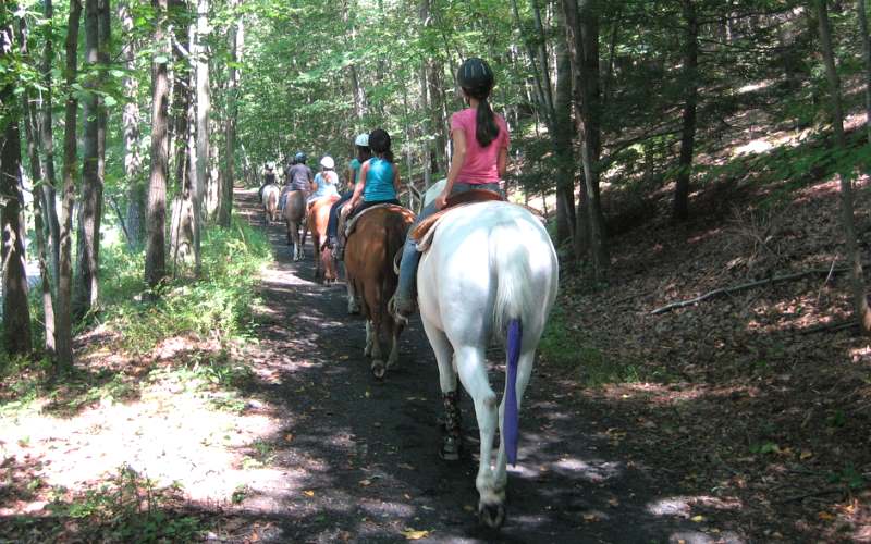 Spring Valley Equestrian Center Kids Party Places in Sussex County NJ