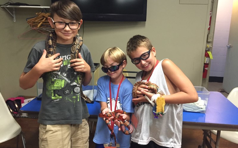 The Childrens Museum reptile parties in Hartford County Connecticut