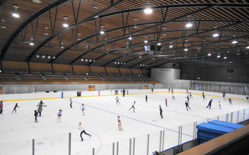 the lakeland center ice skating parties in florida