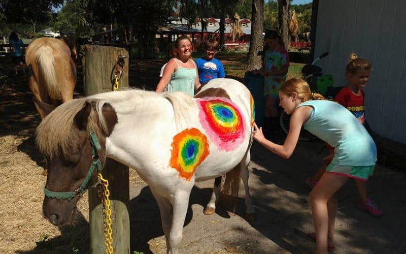 Three Oaks Farm Petting Zoos Serving Brunswick Georgia