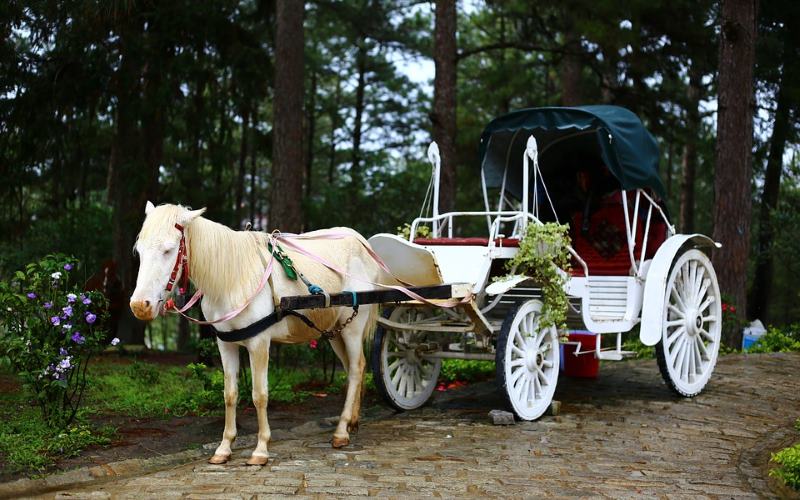 Town and Country Carriage Pony Rides in California