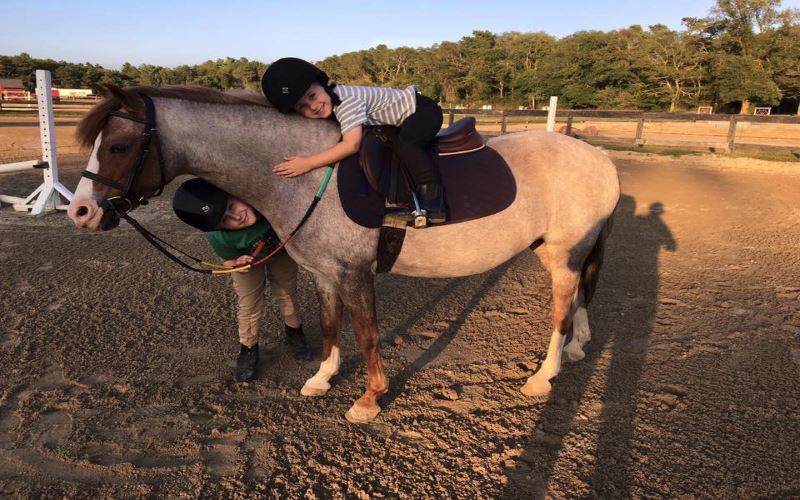 Victory Stables in Stoughton MA