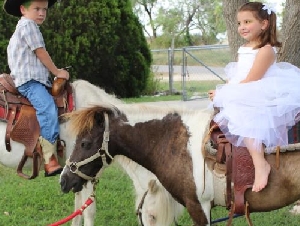 Cuddles and Critter Pony Party Rentals in Nueces County Texas