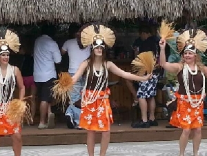 Hula Ho Aloha