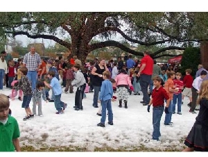 Ice Express In Your Home Snow Parties In Harris County Texas