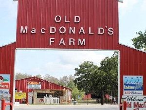 Old Macdonald's Farm Pony Parties in Harris County Texas