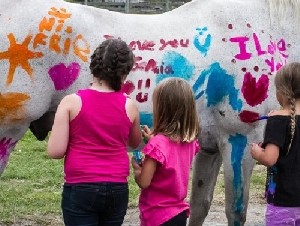 Painted Pony Riding Academy Ponies for Hire in Central NJ